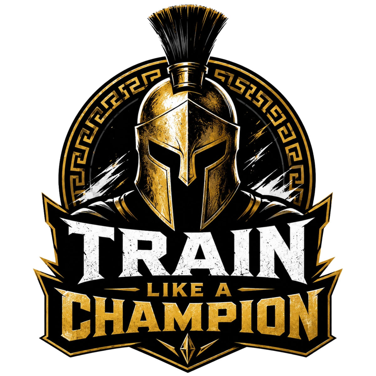 تيشيرت Train like a champion emblem