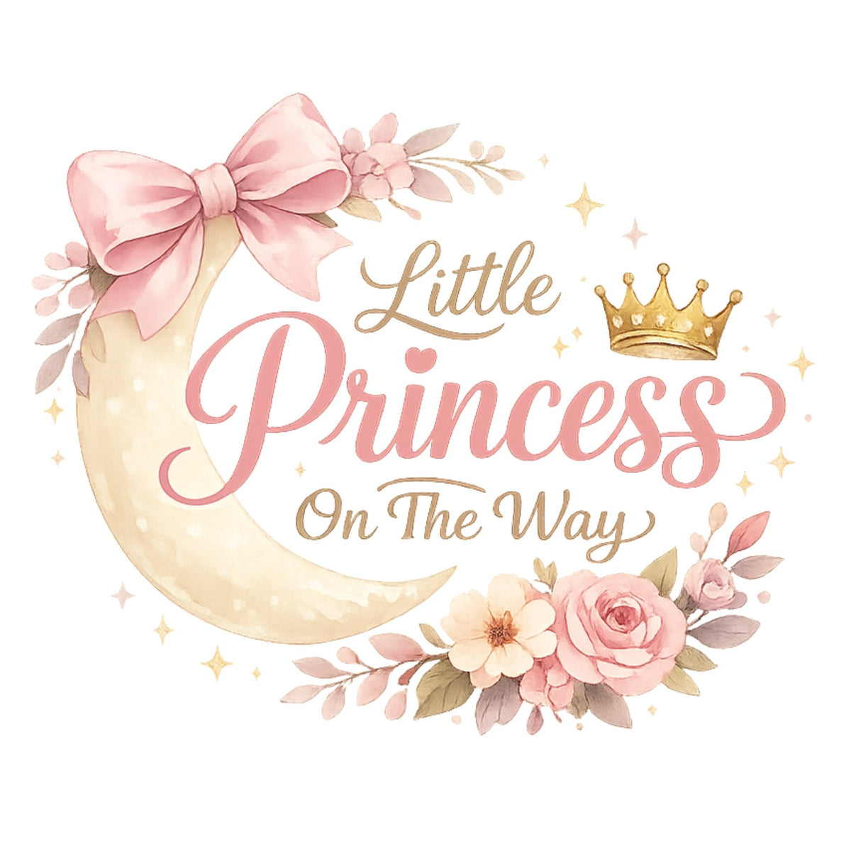 Little Princess on the Way – T-Shirt