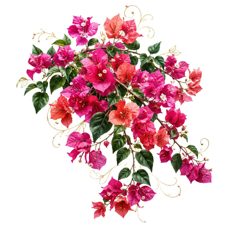 Bougainvillea Glow – Women’s T-Shirt